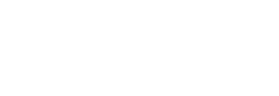 Biyometrik Logo